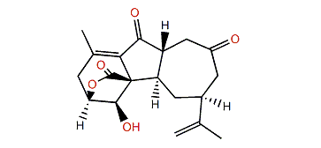 1-Epi-sinulanorcembranolide A